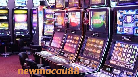 newmacau88 Live Game Shows at newmacau88